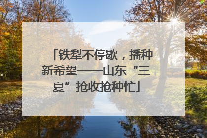 铁犁不停歇，播种新希望——山东“三夏”抢收抢种忙