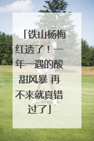 铁山杨梅红透了！一年一遇的酸甜风暴 再不来就真错过了