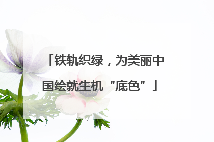 铁轨织绿，为美丽中国绘就生机“底色”