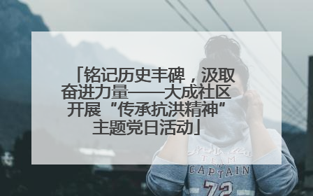 铭记历史丰碑，汲取奋进力量——大成社区开展“传承抗洪精神”主题党日活动