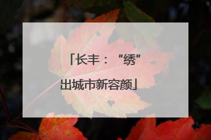 长丰：“绣”出城市新容颜