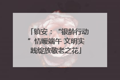 镇安：“银龄行动”情暖端午 文明实践绽放敬老之花