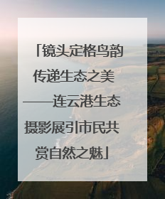 镜头定格鸟韵 传递生态之美——连云港生态摄影展引市民共赏自然之魅