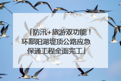 防汛+旅游双功能！环鄱阳湖堤顶公路应急保通工程全面完工
