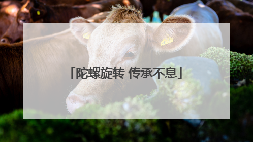 陀螺旋转 传承不息