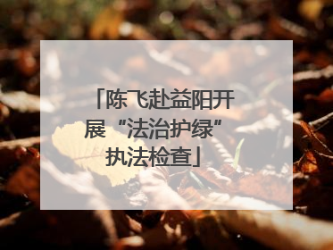 陈飞赴益阳开展“法治护绿”执法检查