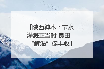 陕西神木：节水灌溉正当时 良田“解渴”促丰收