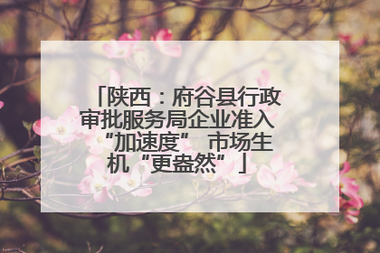 陕西：府谷县行政审批服务局企业准入“加速度” 市场生机“更盎然”