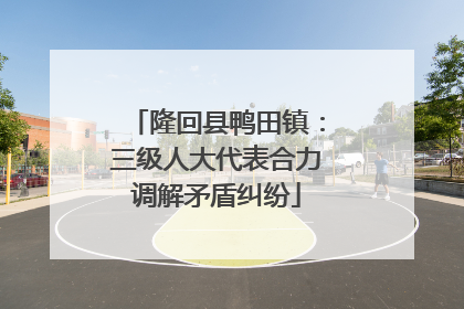 隆回县鸭田镇：三级人大代表合力调解矛盾纠纷