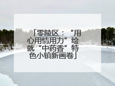 零陵区：“用心用情用力”绘就“中药香”特色小镇新画卷