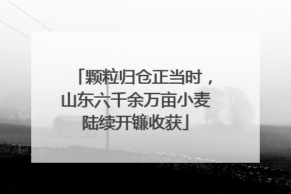 颗粒归仓正当时，山东六千余万亩小麦陆续开镰收获