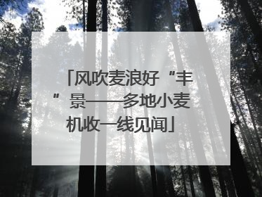 风吹麦浪好“丰”景——多地小麦机收一线见闻