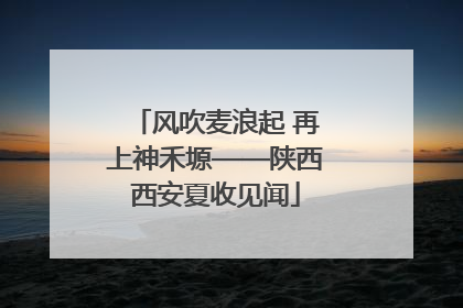 风吹麦浪起 再上神禾塬——陕西西安夏收见闻