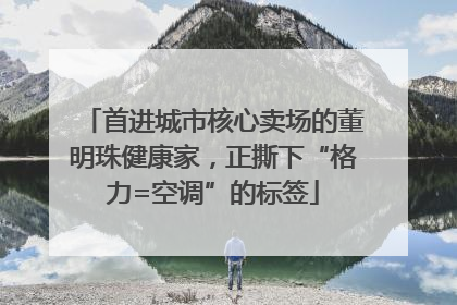 首进城市核心卖场的董明珠健康家，正撕下“格力=空调”的标签