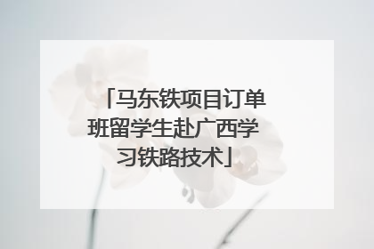 马东铁项目订单班留学生赴广西学习铁路技术