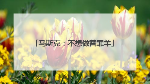 马斯克：不想做替罪羊