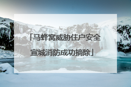 马蜂窝威胁住户安全 宣城消防成功摘除