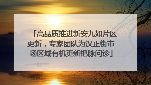 高品质推进新安九如片区更新，专家团队为汉正街市场区域有机更新把脉问诊