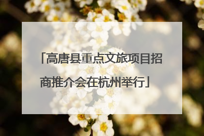高唐县重点文旅项目招商推介会在杭州举行
