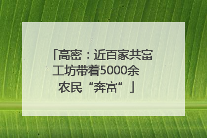 高密：近百家共富工坊带着5000余农民“奔富”