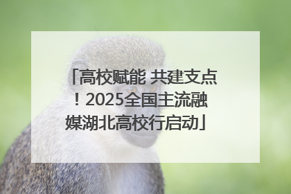 高校赋能 共建支点！2025全国主流融媒湖北高校行启动