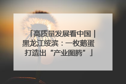 高质量发展看中国｜黑龙江绥滨：一枚鹅蛋打造出“产业图腾”