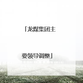 龙煤集团主要领导调整