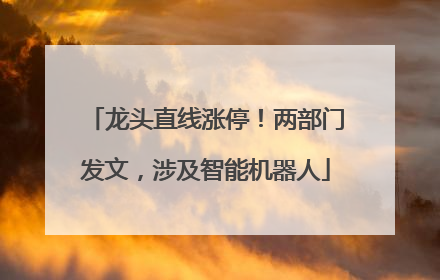 龙头直线涨停！两部门发文，涉及智能机器人