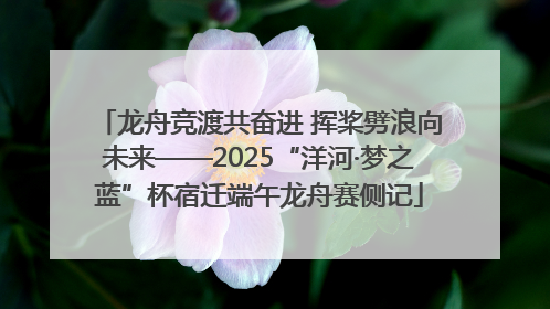 龙舟竞渡共奋进 挥桨劈浪向未来——2025“洋河·梦之蓝”杯宿迁端午龙舟赛侧记