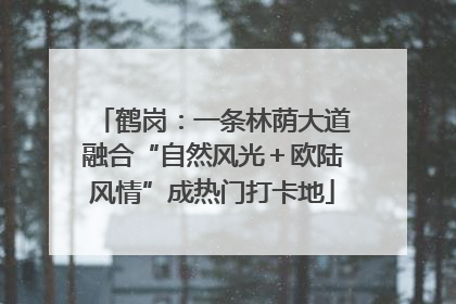 鹤岗：一条林荫大道融合“自然风光＋欧陆风情”成热门打卡地