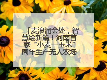 麦浪涌金处，智慧绘新篇！河南首家“小麦—玉米”周年生产无人农场喜迎丰收