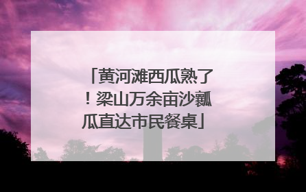 黄河滩西瓜熟了！梁山万余亩沙瓤瓜直达市民餐桌