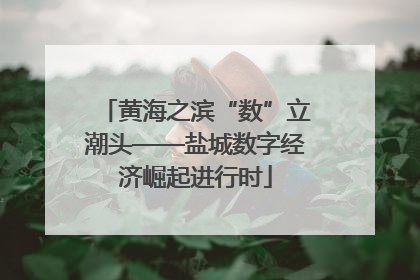 黄海之滨“数”立潮头——盐城数字经济崛起进行时
