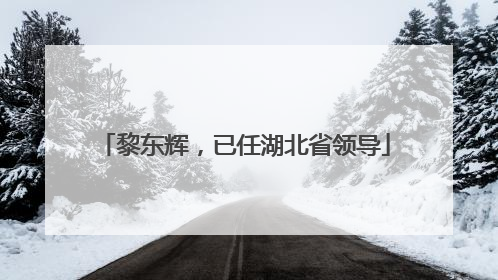 黎东辉，已任湖北省领导