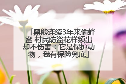 黑熊连续3年来偷蜂蜜 村民防盗花样频出却不伤害：它是保护动物，我有保险兜底