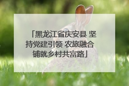 黑龙江省庆安县 坚持党建引领 农旅融合铺就乡村共富路