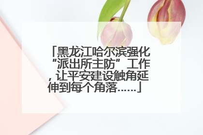 黑龙江哈尔滨强化“派出所主防”工作，让平安建设触角延伸到每个角落……