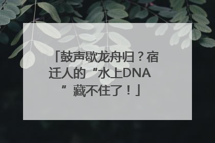 鼓声歇龙舟归？宿迁人的“水上DNA”藏不住了！