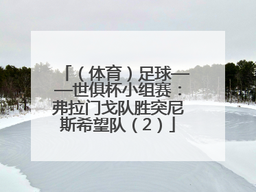 （体育）足球——世俱杯小组赛：弗拉门戈队胜突尼斯希望队（2）