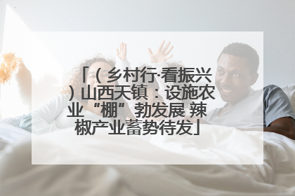 （乡村行·看振兴）山西天镇：设施农业“棚”勃发展 辣椒产业蓄势待发