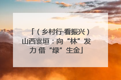 （乡村行·看振兴）山西襄垣：向“林”发力 借“绿”生金