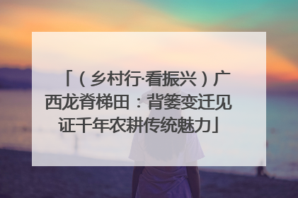 （乡村行·看振兴）广西龙脊梯田：背篓变迁见证千年农耕传统魅力