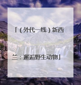 （外代一线）新西兰：邂逅野生动物