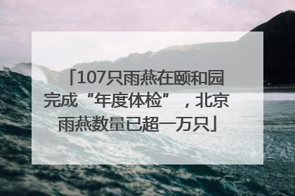 107只雨燕在颐和园完成“年度体检”，北京雨燕数量已超一万只