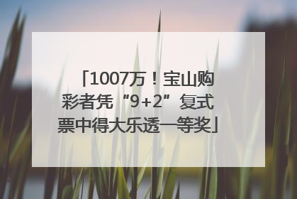 1007万！宝山购彩者凭“9+2”复式票中得大乐透一等奖