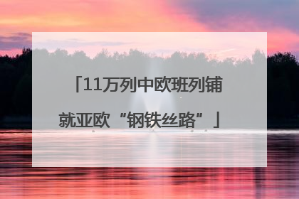 11万列中欧班列铺就亚欧“钢铁丝路”