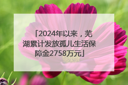 2024年以来，芜湖累计发放孤儿生活保障金2758万元