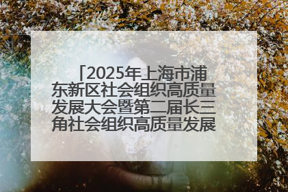 2025年上海市浦东新区社会组织高质量发展大会暨第二届长三角社会组织高质量发展峰会成功举办