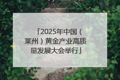2025年中国（莱州）黄金产业高质量发展大会举行