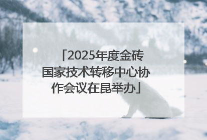2025年度金砖国家技术转移中心协作会议在昆举办